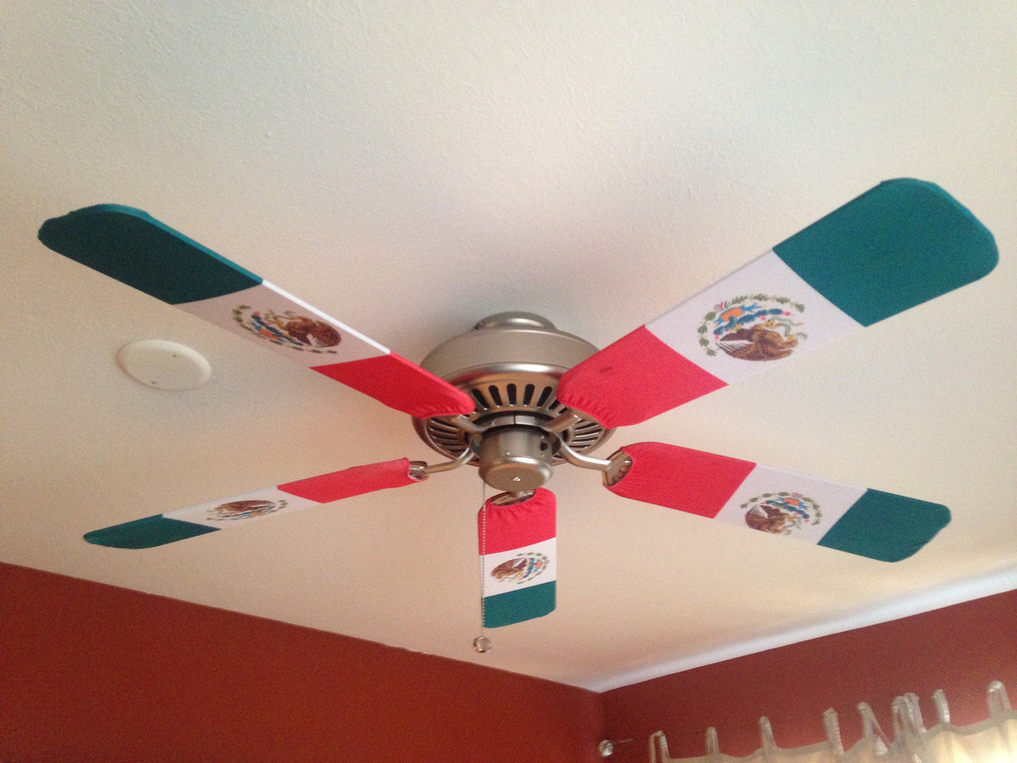 Mexican Flag