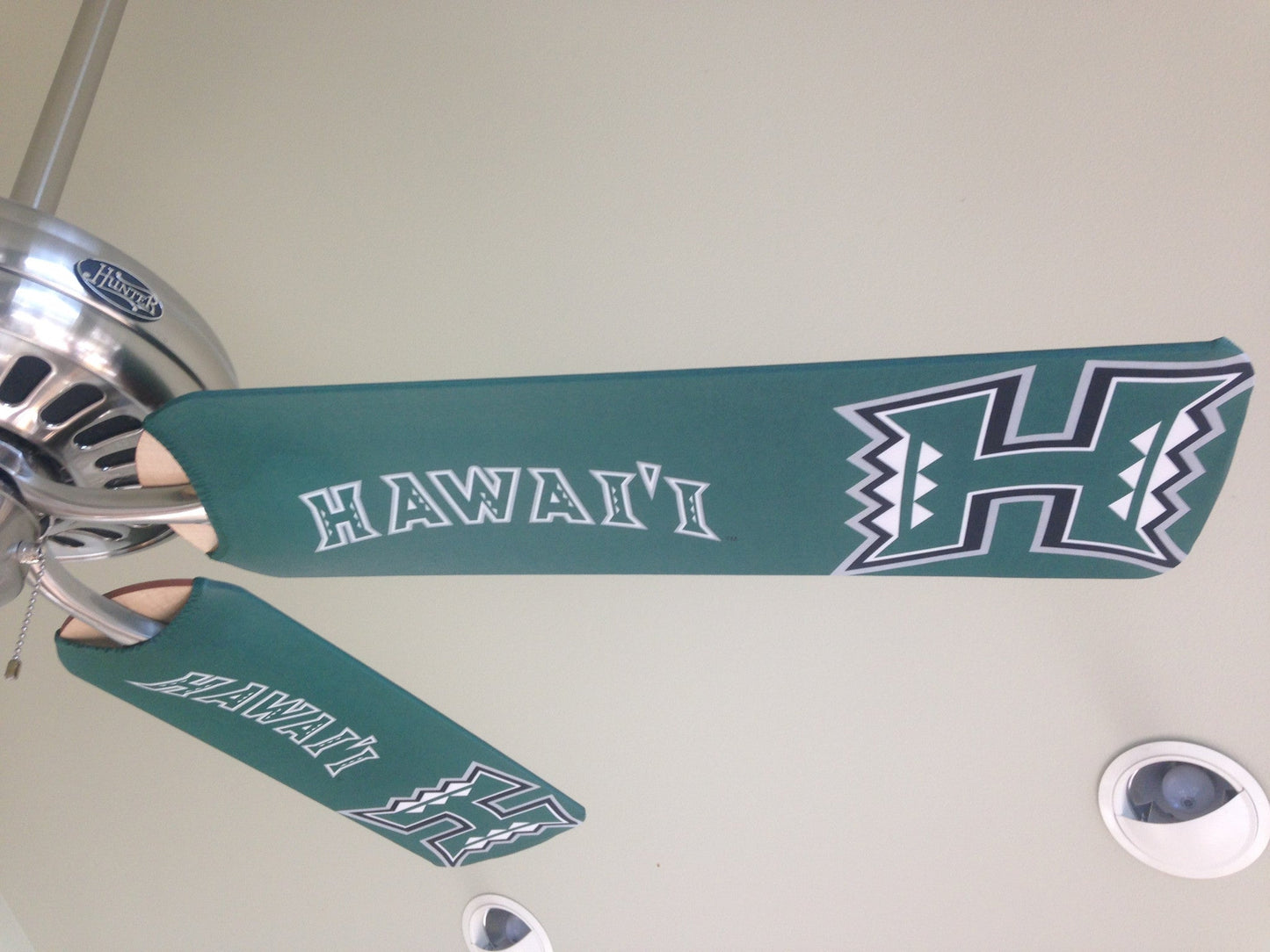 University of Hawai'i Warriors