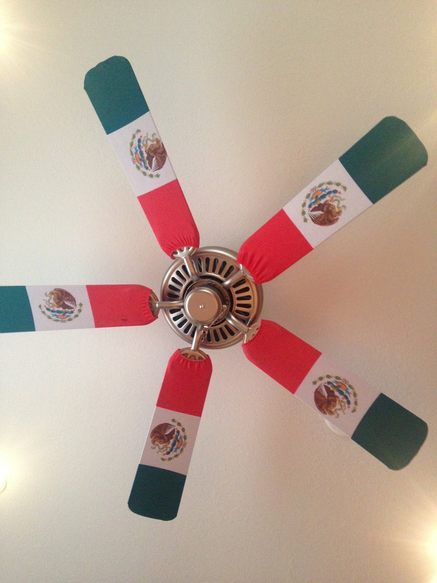 Mexican Flag