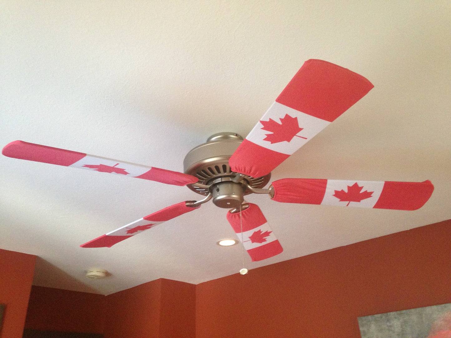 Canadian Flag
